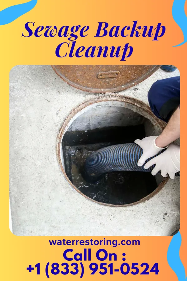 Sewage Backup Cleanup in Shepherdsville, KY